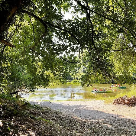 Dreamy Chateau For Big Groups And Their Pets Villa *