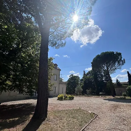 Dreamy Chateau For Big Groups And Their Pets Villa