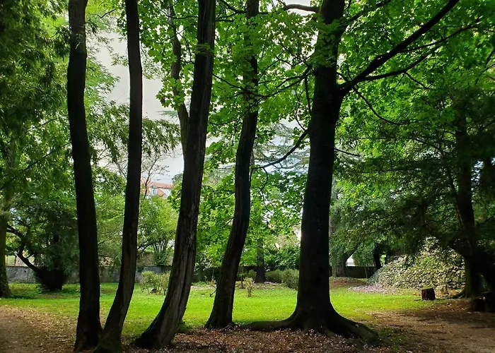 Dreamy Chateau For Big Groups And Their Pets Villa Saint-Ambroix