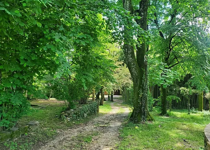 Dreamy Chateau For Big Groups And Their Pets *
